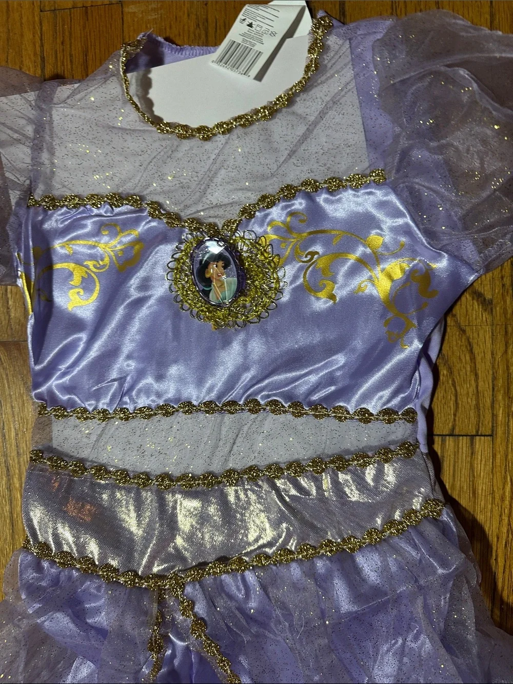 Disney Jasmine Purple and Gold Deluxe Child Costume
